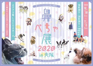 「鼻ぺちゃ展 2020 in 大阪」キービジュアル