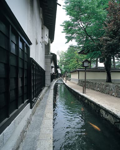 瀬戸川(建物裏手にある川)