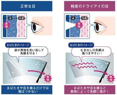 角膜の傷メカニズム