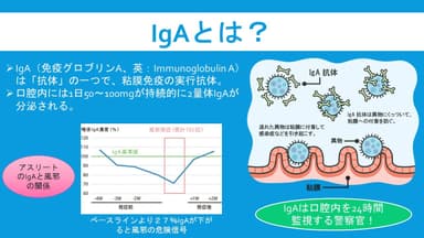 IgAとは？