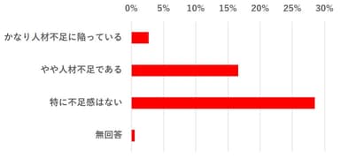 グラフ4：人材の不足状況