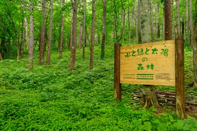 グローブライドの森林_看板