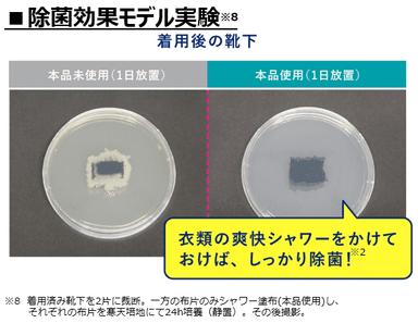 除菌効果モデル実験