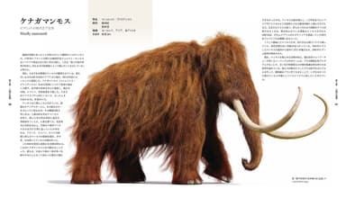 『絶滅動物図鑑』中面