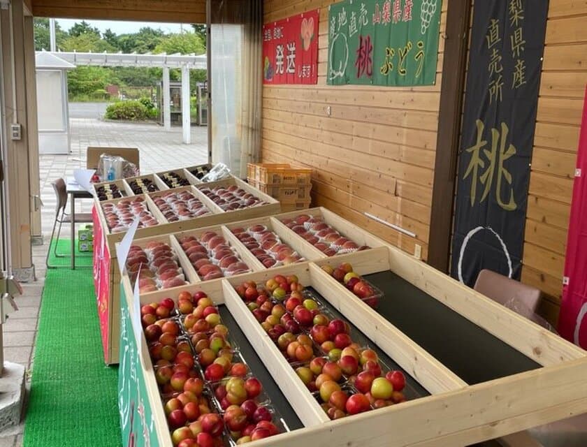 富士川サービスエリア(下り線)に山梨県の美味しい果物を
そろえた「フルーツ村」が2021年6月26日にOPEN！