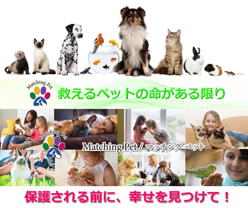 コロナ禍と高齢者社会で、増え続ける保護ペットを救う！
「Matching Pet／マッチングペット」クラウドファンディング　
終了まであと4日！7月20日まで実施