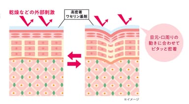 HPバーム肌密着イメージ図