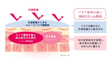 HPクリーム有効成分-イメージ図