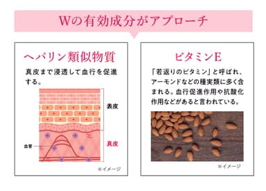 HPクリーム-血行促進-イメージ図