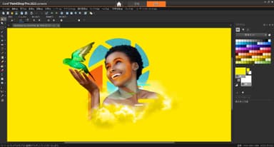 新発売 PaintShop Pro 2022