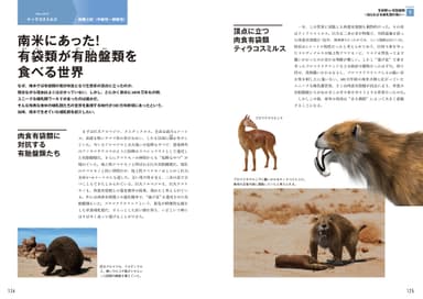 『ダーウィンが来た！ 生命大進化 第2集 現生動物への道が開かれた （中生代 ジュラ紀～新生代）』中面５