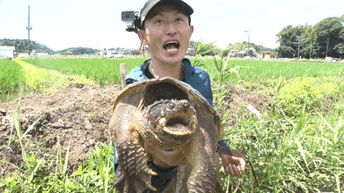 天然食材ヤバイヤー3