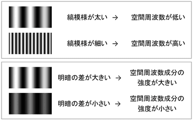 図6　空間周波数について