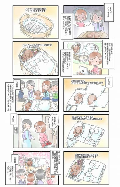 パーフェクト ネオの使用方法