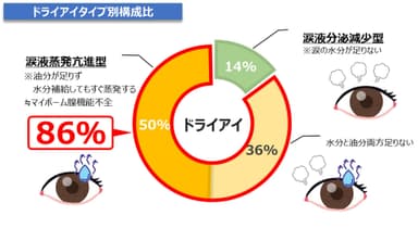 ドライアイタイプ別構成比