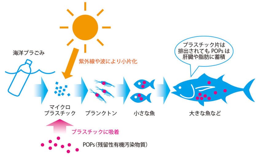 海洋プラごみ問題の解決・改善を目指して
「写真提供ボランティア」と「寄付」の募集を開始　
～持続可能な海洋プラごみ処分の方法を確立～