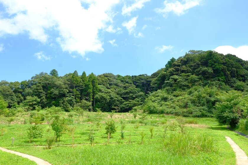 “自然の森をつくるお墓”　
千葉県長南町のふるさと納税返礼品に10月より採用