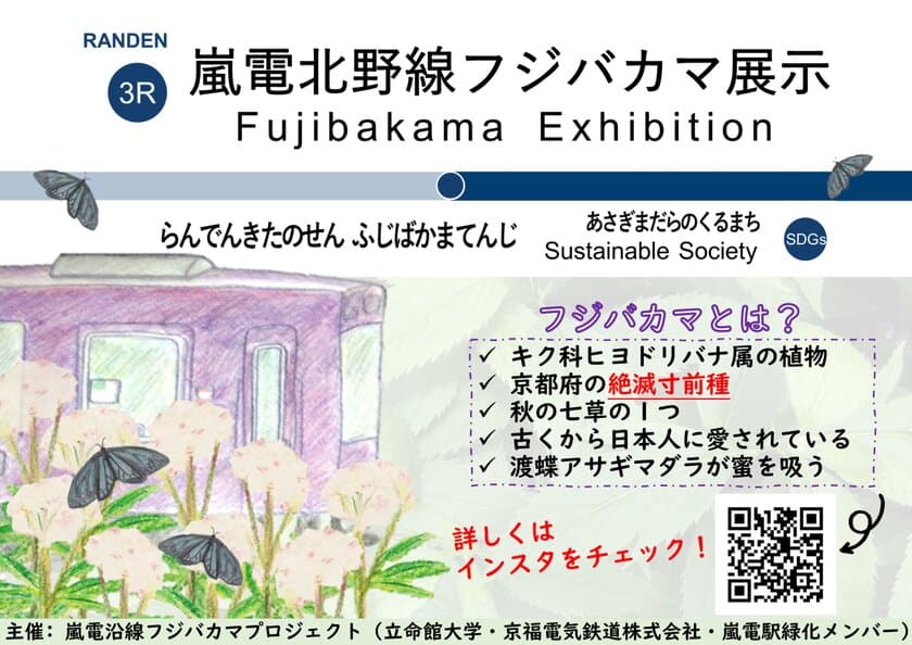 絶滅寸前種「フジバカマ」鉢植えを嵐電北野線の全駅に展示