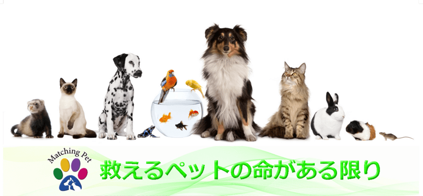 保護ペットのための新しい譲渡サイト
「Matching Pet／マッチングペット」が10月20日に開設！
保護ペットや高齢化により手放す方のためのマッチングサイト