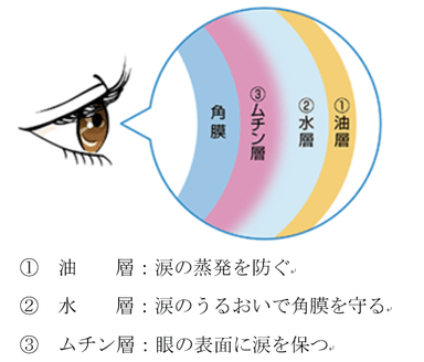 図4　涙の3層構造