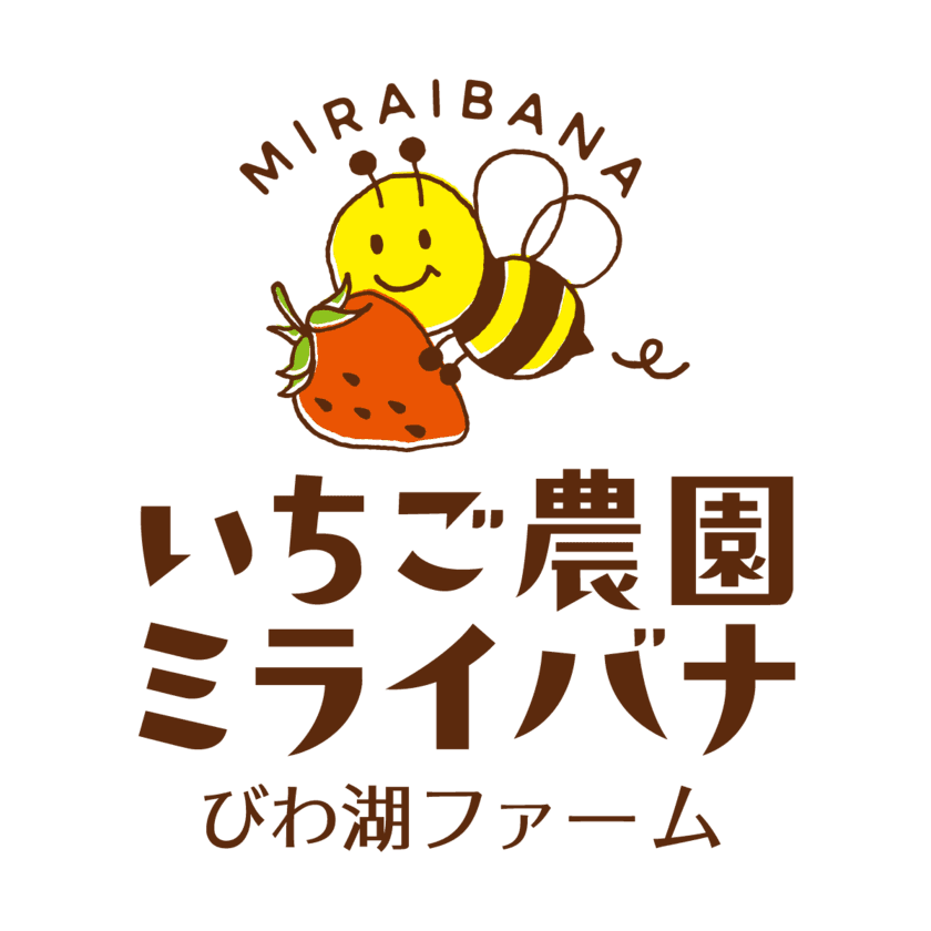 琵琶湖近くで45分間食べ放題の“いちご狩り”！
「いちご農園ミライバナびわ湖ファーム」が12月24日から開園