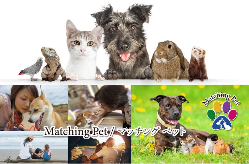 保護ペットや高齢化によりペットを手放す方のための
マッチングサイト「Matching Pet／マッチングペット」　
2021年12月末までの登録で2022年6月末まで無料で利用可能！