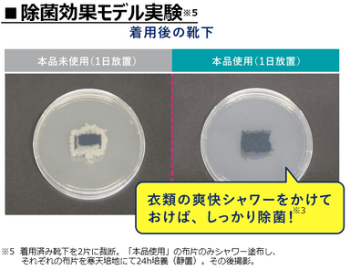 除菌効果モデル実験