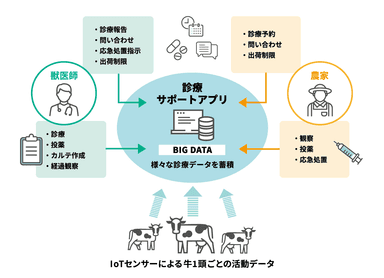 U-メディカルサポート