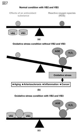 酸化ストレスと抗酸化作用とのバランス(図7)