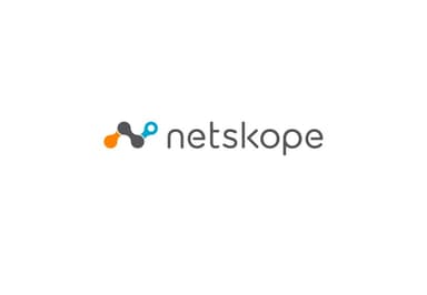 Netskope Primary logo