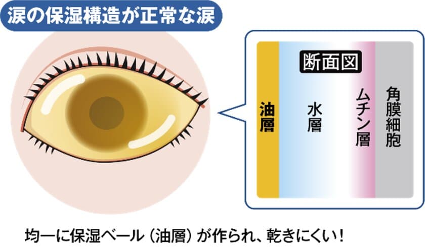 現代人の“まばたき”は浅くて半開きになりがち！？
ドライアイの原因となる“まばたき不全”に注意！
眼科医が解説・まばたき不全と涙の蒸発を防ぐ
“瞳の保湿ベール”とは