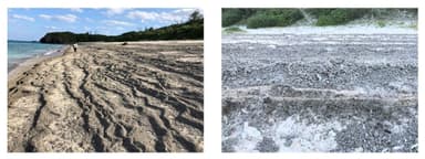 白い砂浜の一面が漂着軽石で覆われてしまった与論島の海岸(遠景と近景)