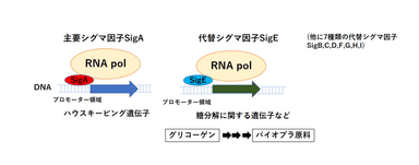 図1