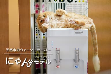 「にゃんモデル」新発売！