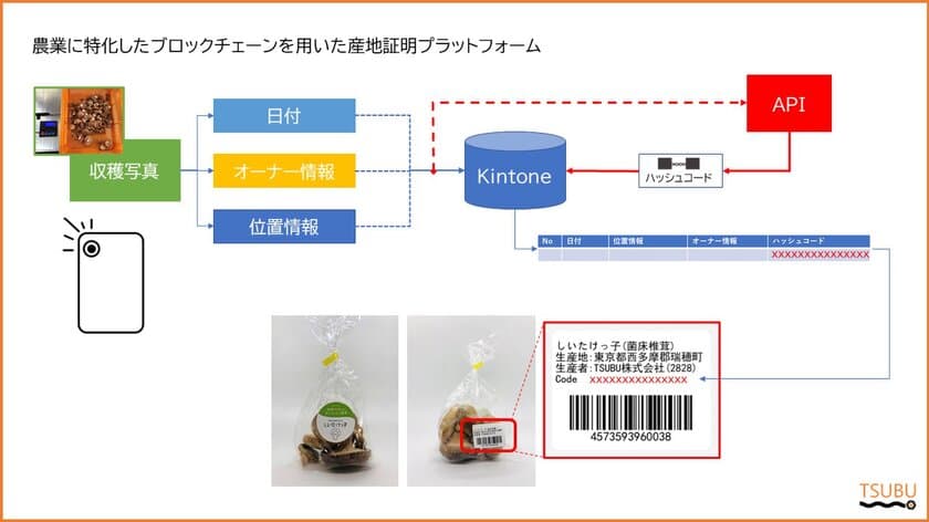 農業に特化した、月額2,000円からの
ブロックチェーンプラットフォームの提供を2022年5月より開始