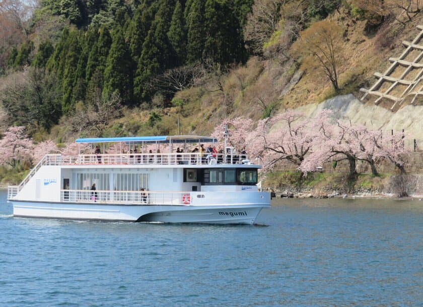 びわ湖最北端、日本さくら名所100選「海津大崎の桜」を愛でるお花見船を期間限定で運航！
「海津大崎桜クルーズ2022」