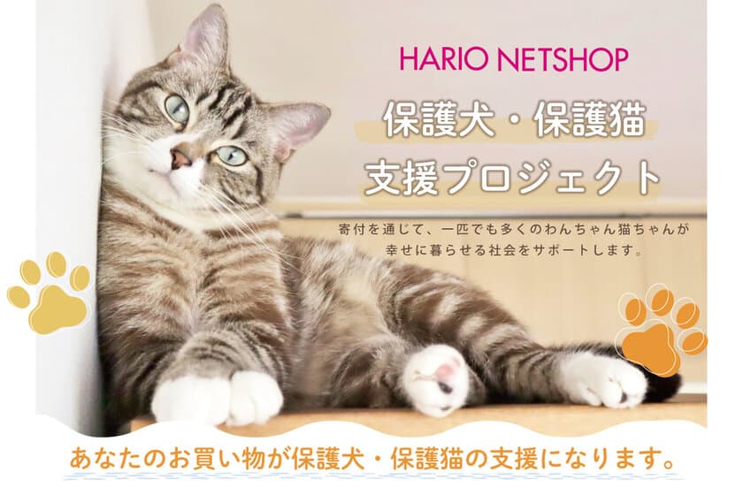 HARIOペット「保護犬・保護猫支援プロジェクト」を実施　
HARIO NETSHOP購入金額の1％を
一般社団法人三崎動物保護センター
「みさきアニマルすまいる」へ寄付