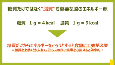 脂質も重要なエネルギー源