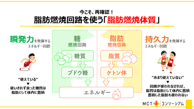 カギとなるのは「ケトン体」