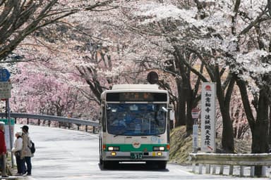 吉野山を走る臨時バス