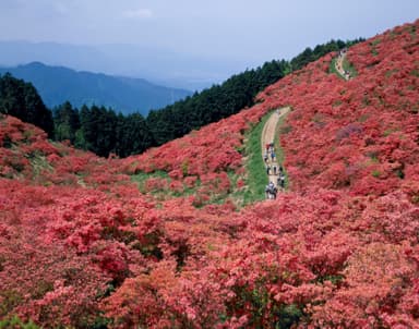 葛城山