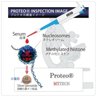 がん細胞が出すヌクレオソームを測定するプロテオ検査