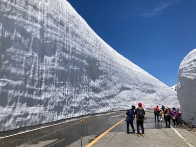 立山雪の大谷ウォーク