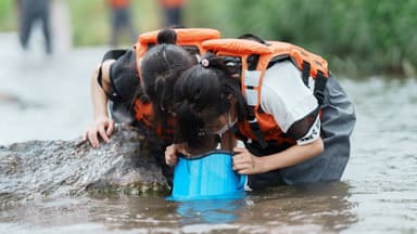 箱眼鏡を使った水中観察