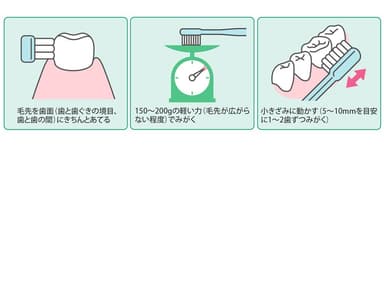 歯みがきの3つの基本