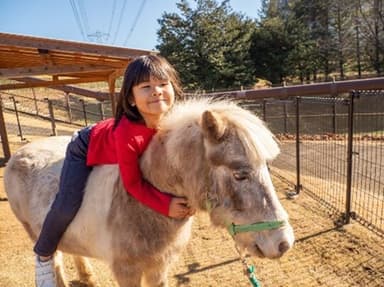 ふれあい動物園(イメージ)