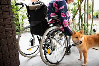 高齢者とペットに寄り添います