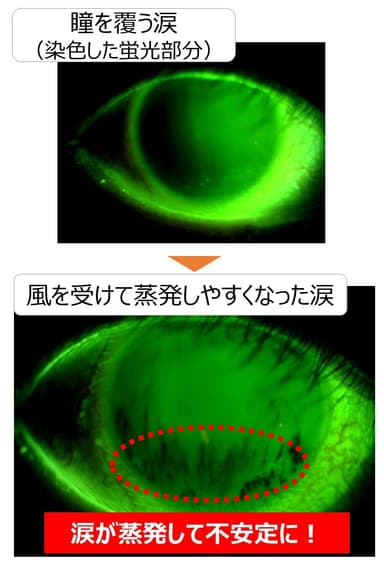 実験結果：涙が蒸発