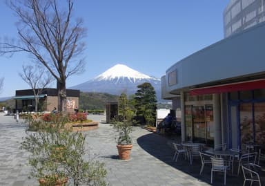 富士川SAから見える富士山(2)