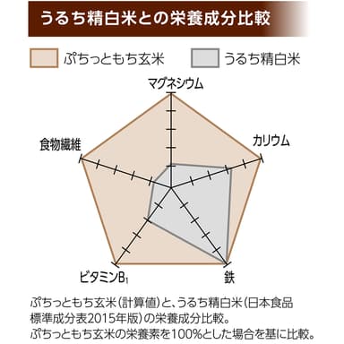 うるち精白米と栄養成分比較